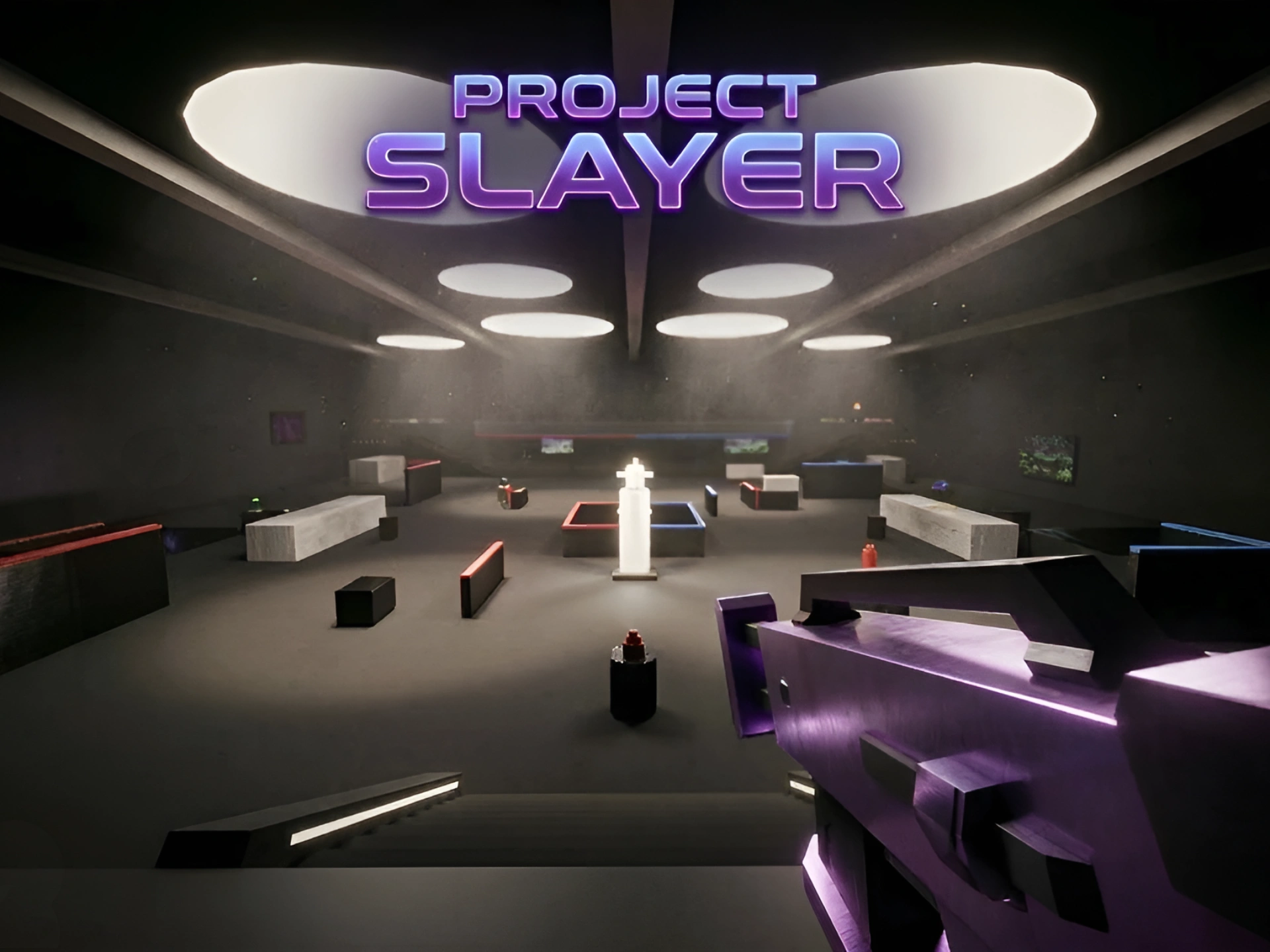 Project Slayer